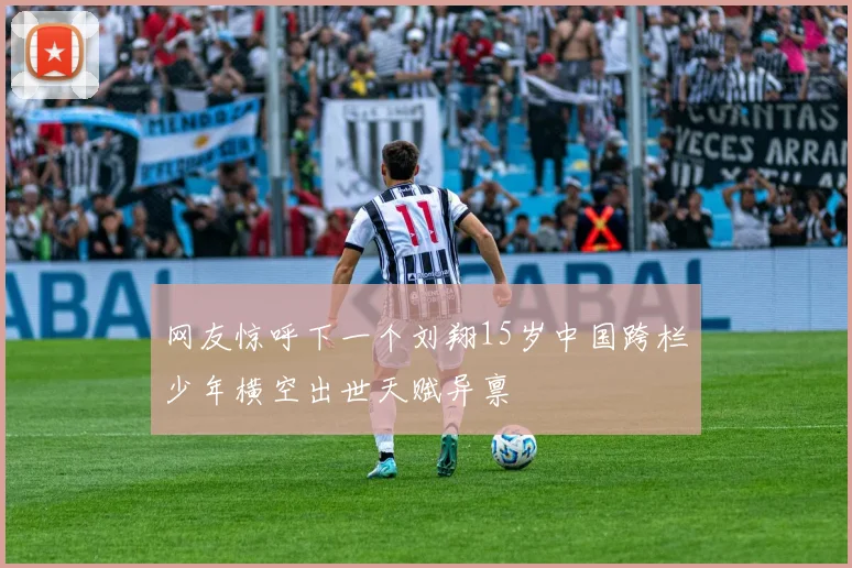 网友惊呼下一个刘翔15岁中国跨栏少年横空出世天赋异禀