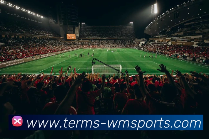 完美体育官网APP 封面图